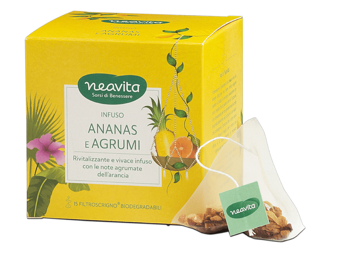 ANANAS E AGRUMI BIO - FILTRI PIRAMIDALI