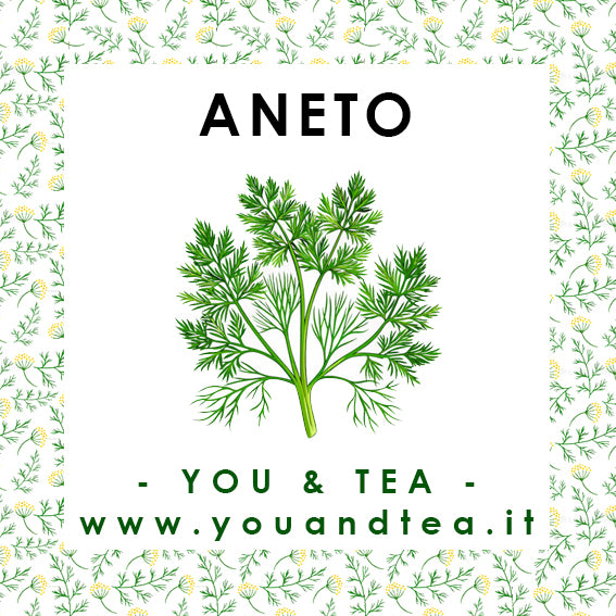 ANETO - (FINOCCHIETTO SELVATICO)