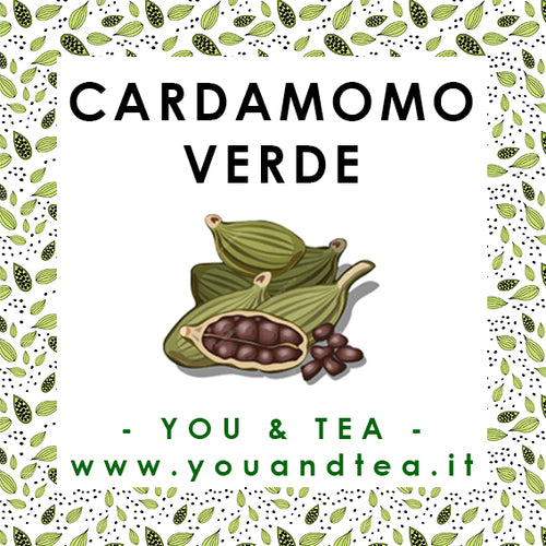 CARDAMOMO VERDE