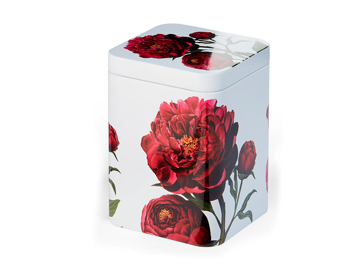 LATTINA - PEONIA ROSA - CHA CULT