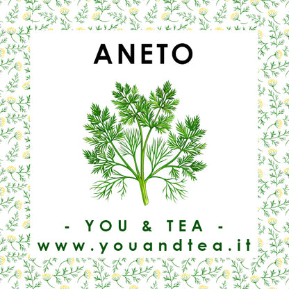 ANETO - (FINOCCHIETTO SELVATICO)