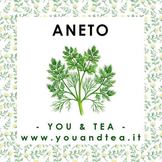 ANETO - (FINOCCHIETTO SELVATICO)