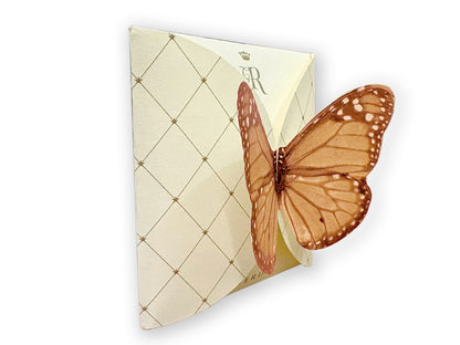 FARFALLA ARANCIONE - BUSTA 2 FILTRI - VOLO DA TÈ