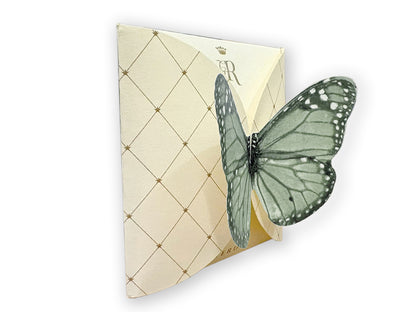 FARFALLA AZZURRA - BUSTA 2 FILTRI - VOLO DA TÈ