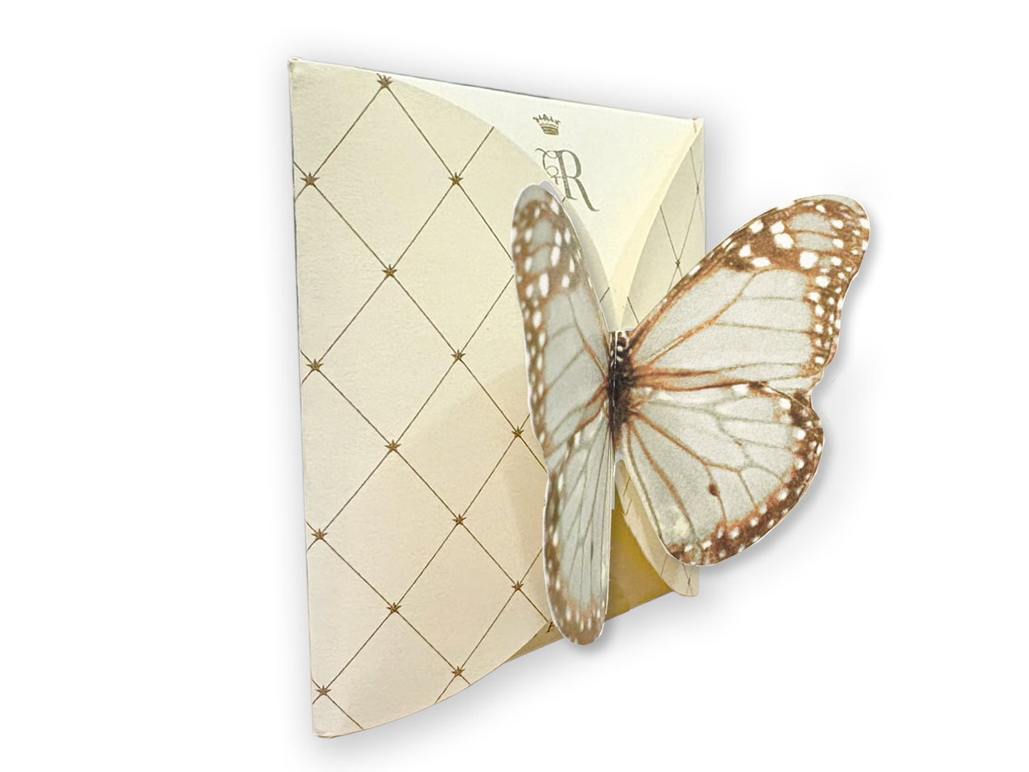 FARFALLA CLOUDY - BUSTA 2 FILTRI - VOLO DA TÈ