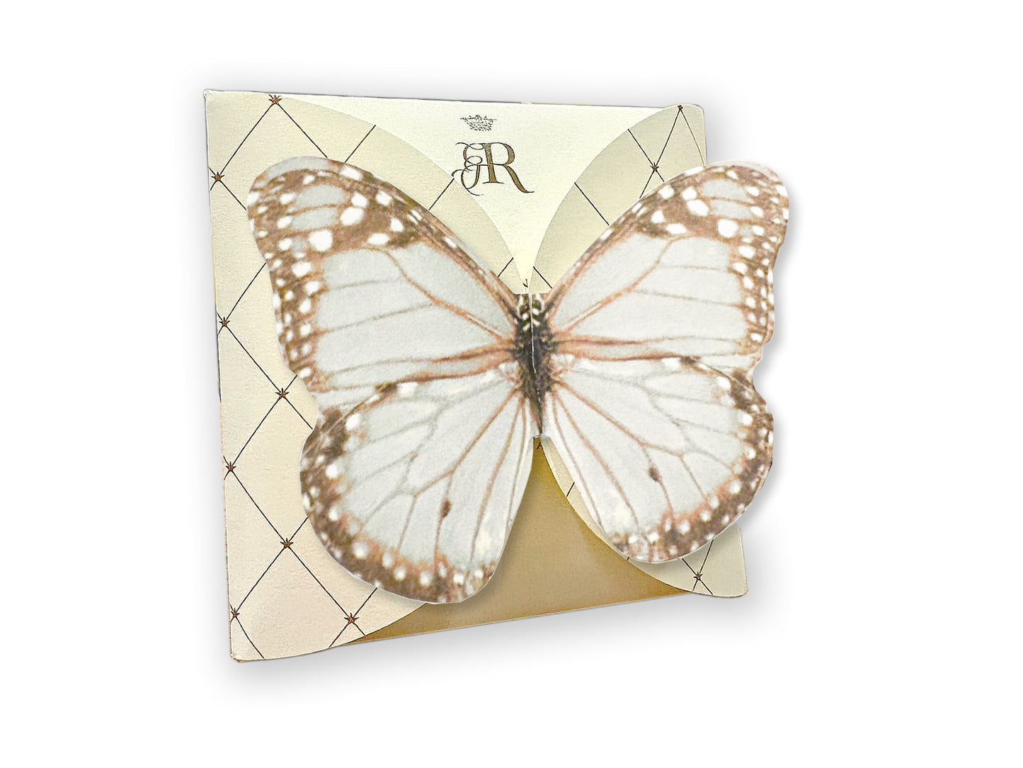 FARFALLA CLOUDY - BUSTA 2 FILTRI - VOLO DA TÈ