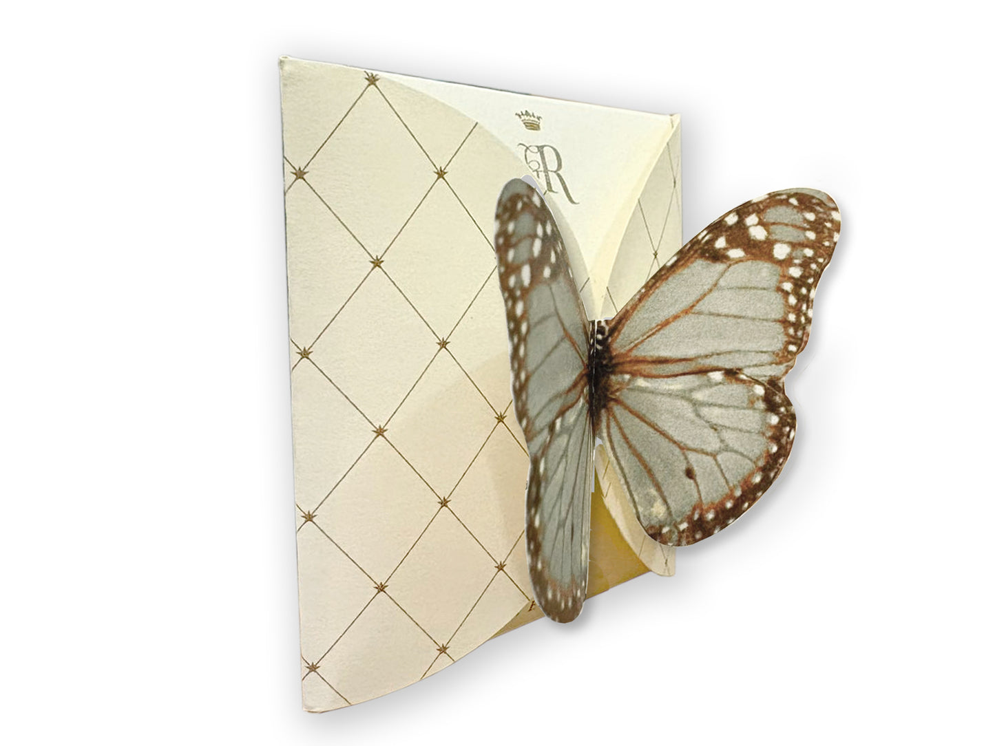 FARFALLA CELESTE - BUSTA 2 FILTRI - VOLO DA TÈ