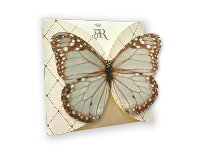 FARFALLA CELESTE - BUSTA 2 FILTRI - VOLO DA TÈ