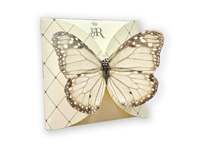 FARFALLA AVORIO - BUSTA 2 FILTRI - VOLO DA TÈ