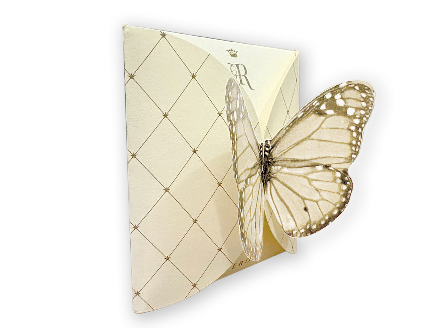 FARFALLA AVORIO - BUSTA 2 FILTRI - VOLO DA TÈ