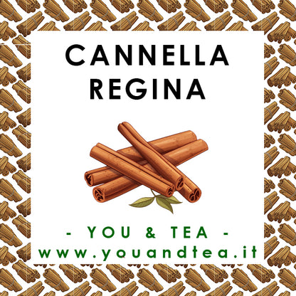 CANNELLA REGINA POLVERE