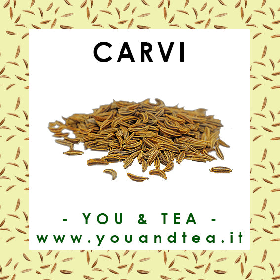 CARVI
