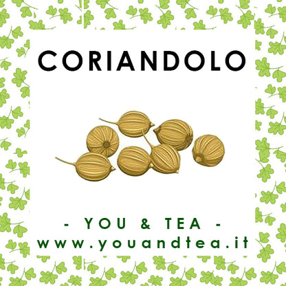 CORIANDOLO