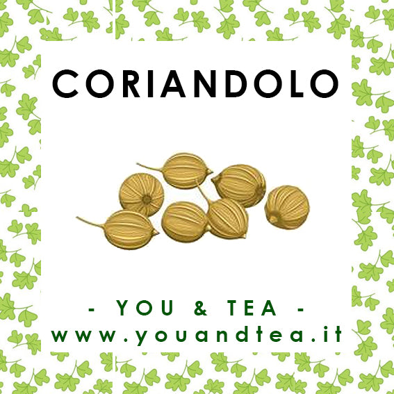 CORIANDOLO