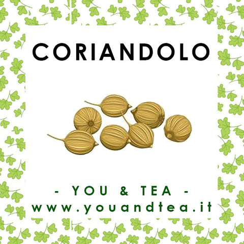 CORIANDOLO