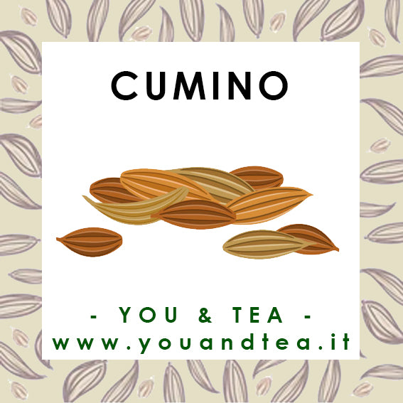 CUMINO SEMI INTERI