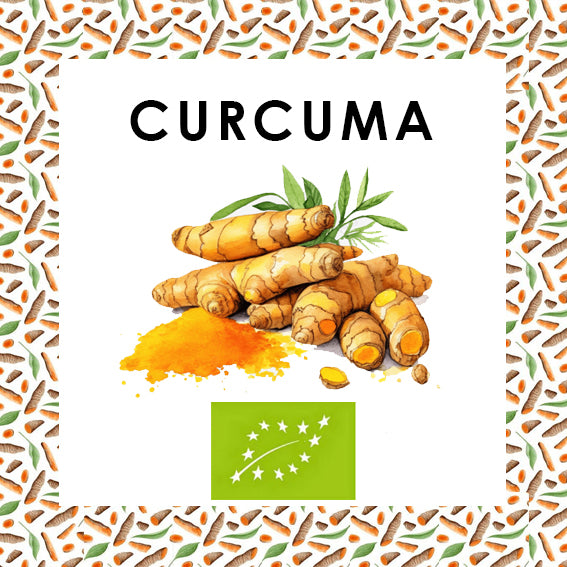 CURCUMA BIO