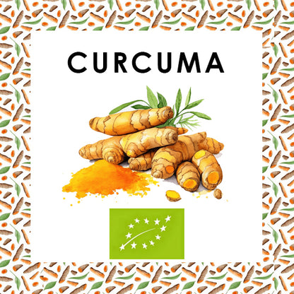 CURCUMA BIO