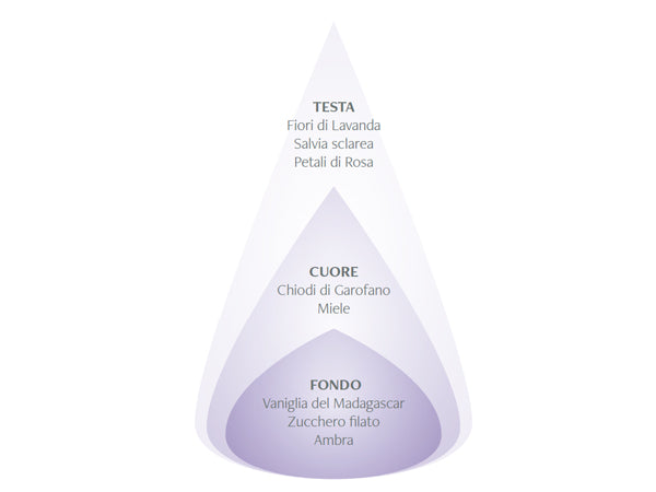 LAVANDA DI PROVENZA - DIFFUSORE PER AMBIENTI 100ML - NASOTERAPIA