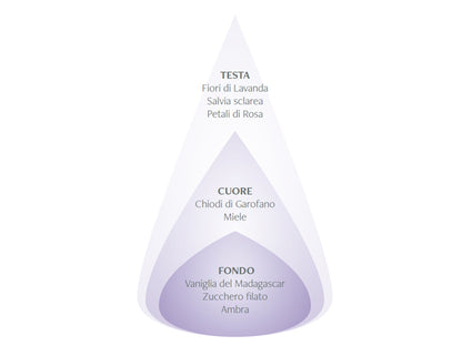 LAVANDA DI PROVENZA - DIFFUSORE PER AMBIENTI 100ML - NASOTERAPIA