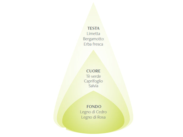 TÈ VERDE E BERGAMOTTO - DIFFUSORE PER AMBIENTI 100ML - NASOTERAPIA
