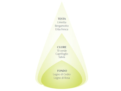 TÈ VERDE E BERGAMOTTO - DIFFUSORE PER AMBIENTI 100ML - NASOTERAPIA