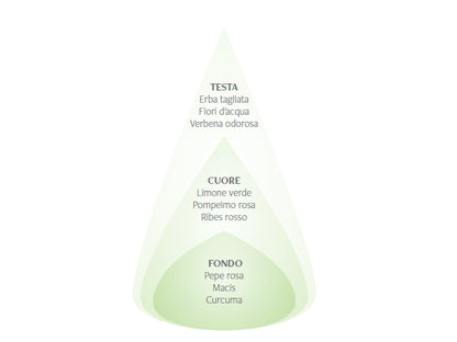 VERBENA E LEMONGRASS- DIFFUSORE PER AMBIENTI 100ML - NASOTERAPIA