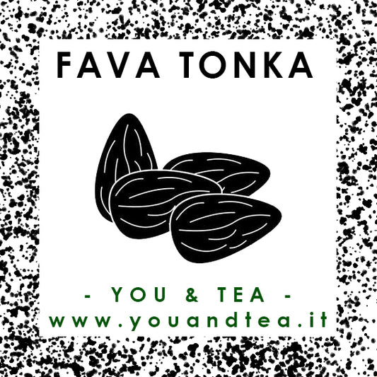 FAVA DI TONKA