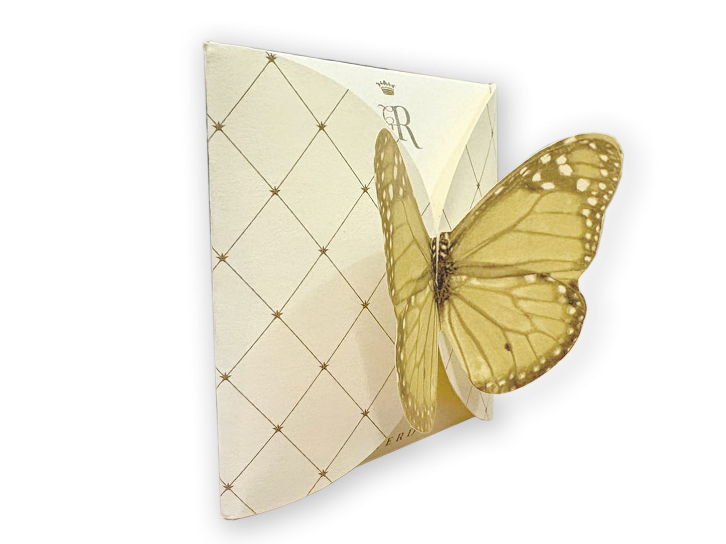 FARFALLA GIALLA - BUSTA 2 FILTRI - VOLO DA TÈ