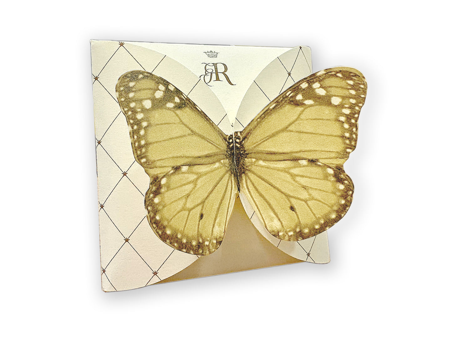 FARFALLA GIALLA - BUSTA 2 FILTRI - VOLO DA TÈ