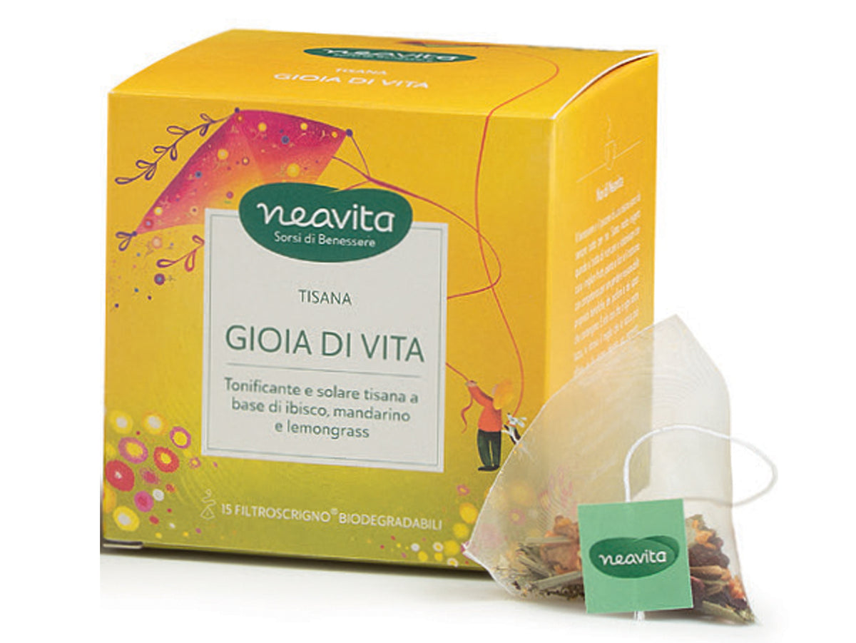 GIOIA DI VITA - FILTRI PIRAMIDALI