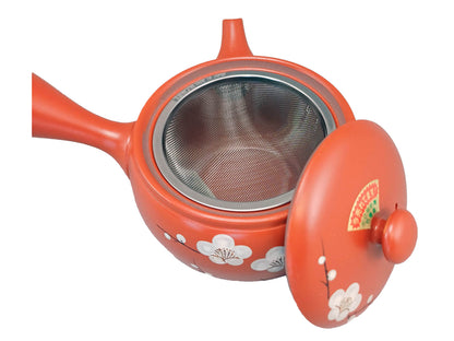 TEIERA KYUSU FIORE DI SAKURA - TOKONAME