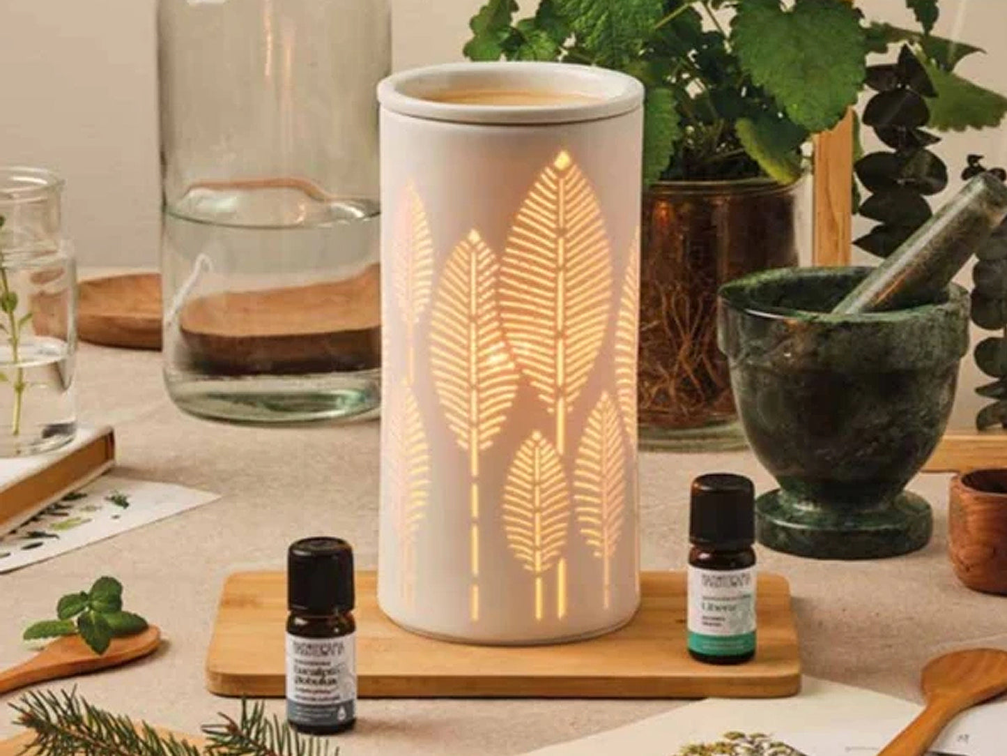 LAURUS - LAMPADA DIFFUSORE