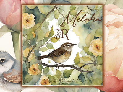 MELODIA  - BUSTA 5 FILTRI - RACCONTI NATURALI
