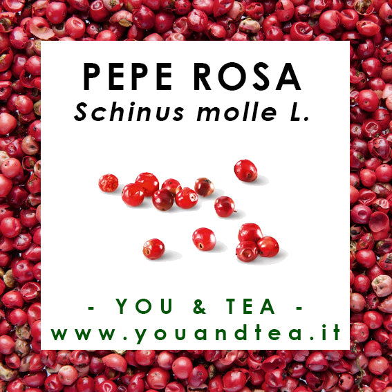 PEPE ROSA