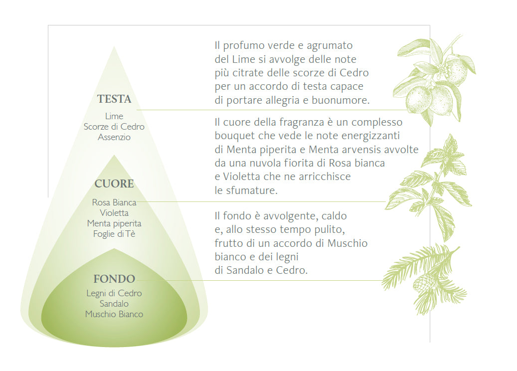 LIME & FOGLIE DI MENTA - CANDELA - NASOTERAPIA
