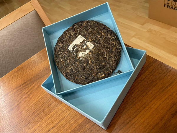 CINA - GREEN PU'ER BEENG-CHA LINCANG (SHENG) - THÈIERES SAUVAGES