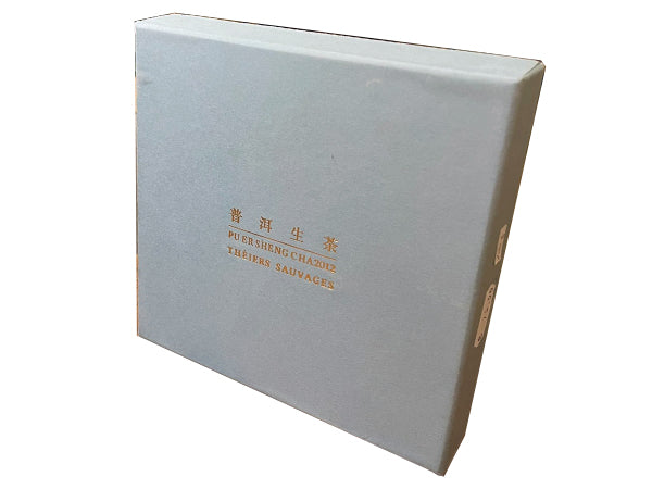 CINA - GREEN PU'ER BEENG-CHA LINCANG (SHENG) - THÈIERES SAUVAGES