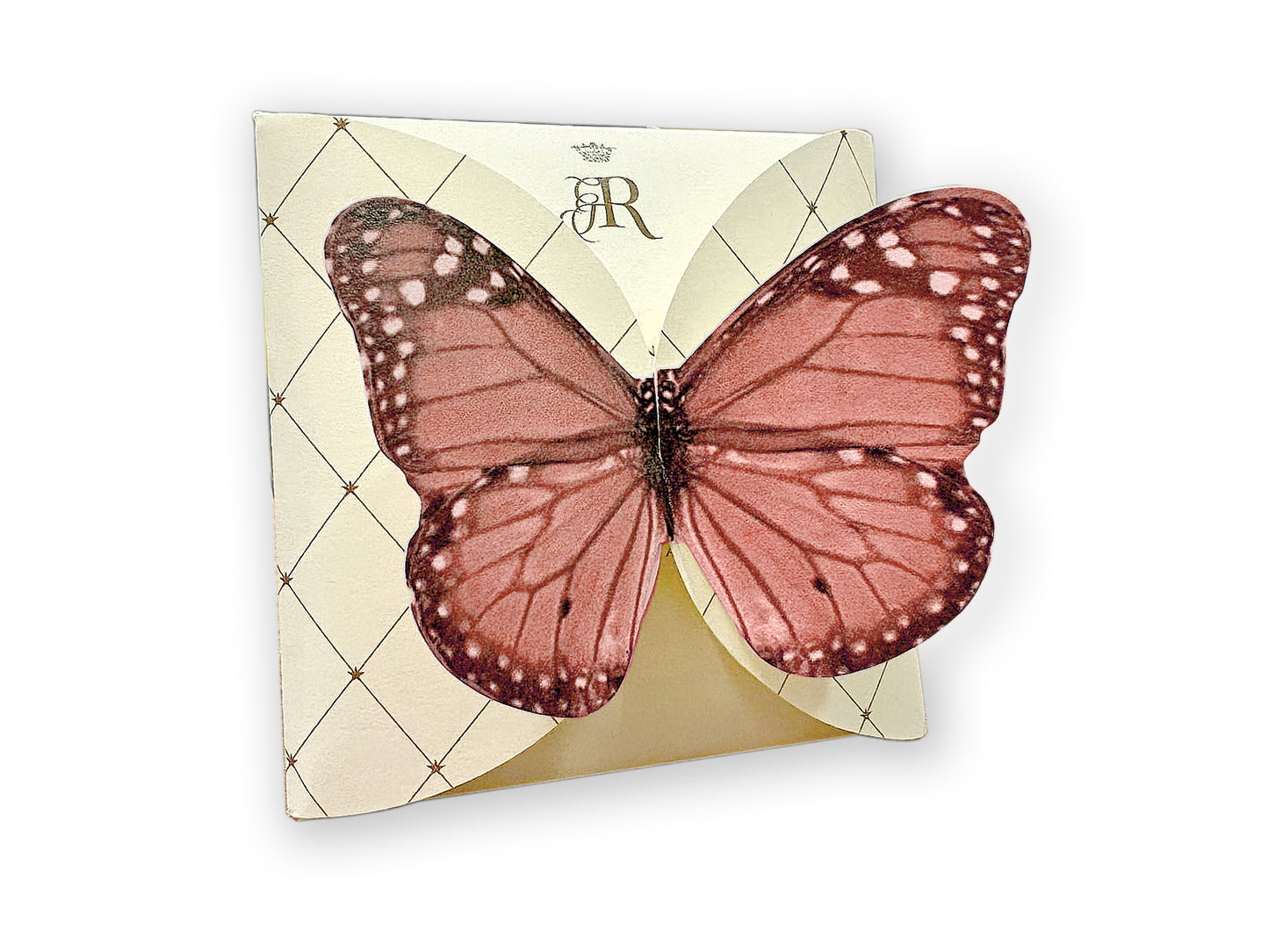 FARFALLA ROSSA - BUSTA 2 FILTRI - VOLO DA TÈ