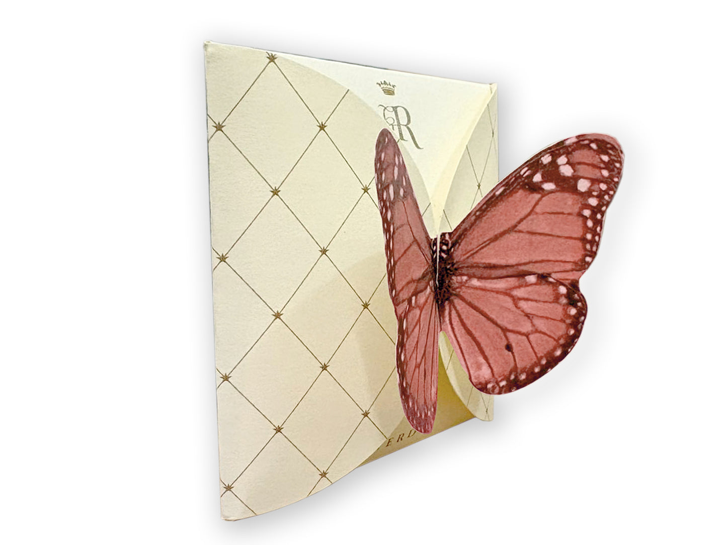 FARFALLA ROSSA - BUSTA 2 FILTRI - VOLO DA TÈ