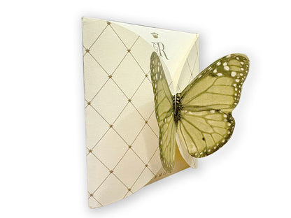 FARFALLA VERDE - BUSTA 2 FILTRI - VOLO DA TÈ