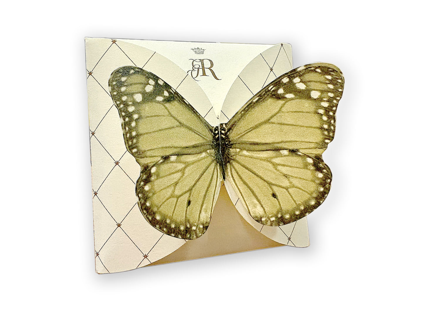 FARFALLA VERDE - BUSTA 2 FILTRI - VOLO DA TÈ