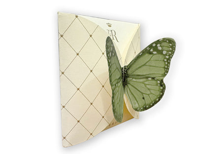 FARFALLA VERDE SCURO - BUSTA 2 FILTRI - VOLO DA TÈ