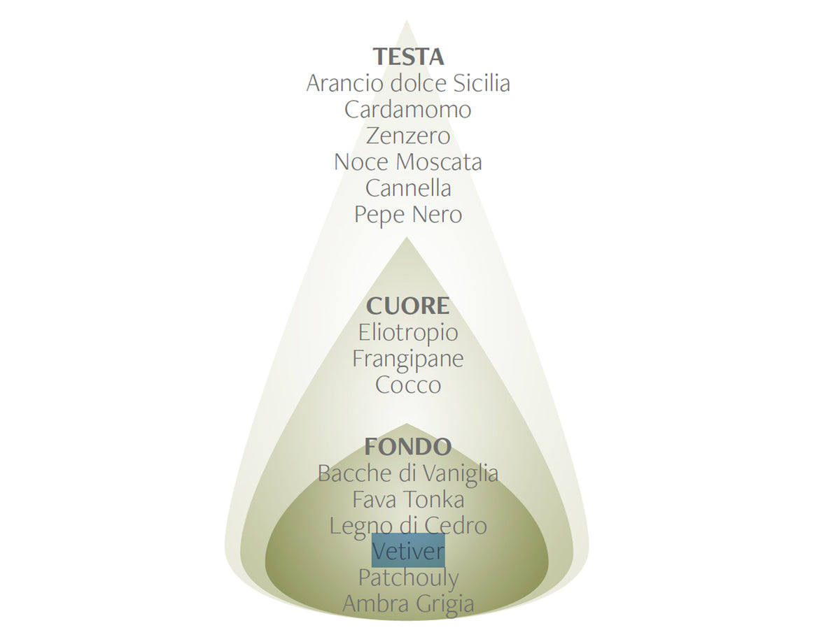 VETIVER E FAVA TONKA - SPRAY AMBIENTE - NASOTERAPIA