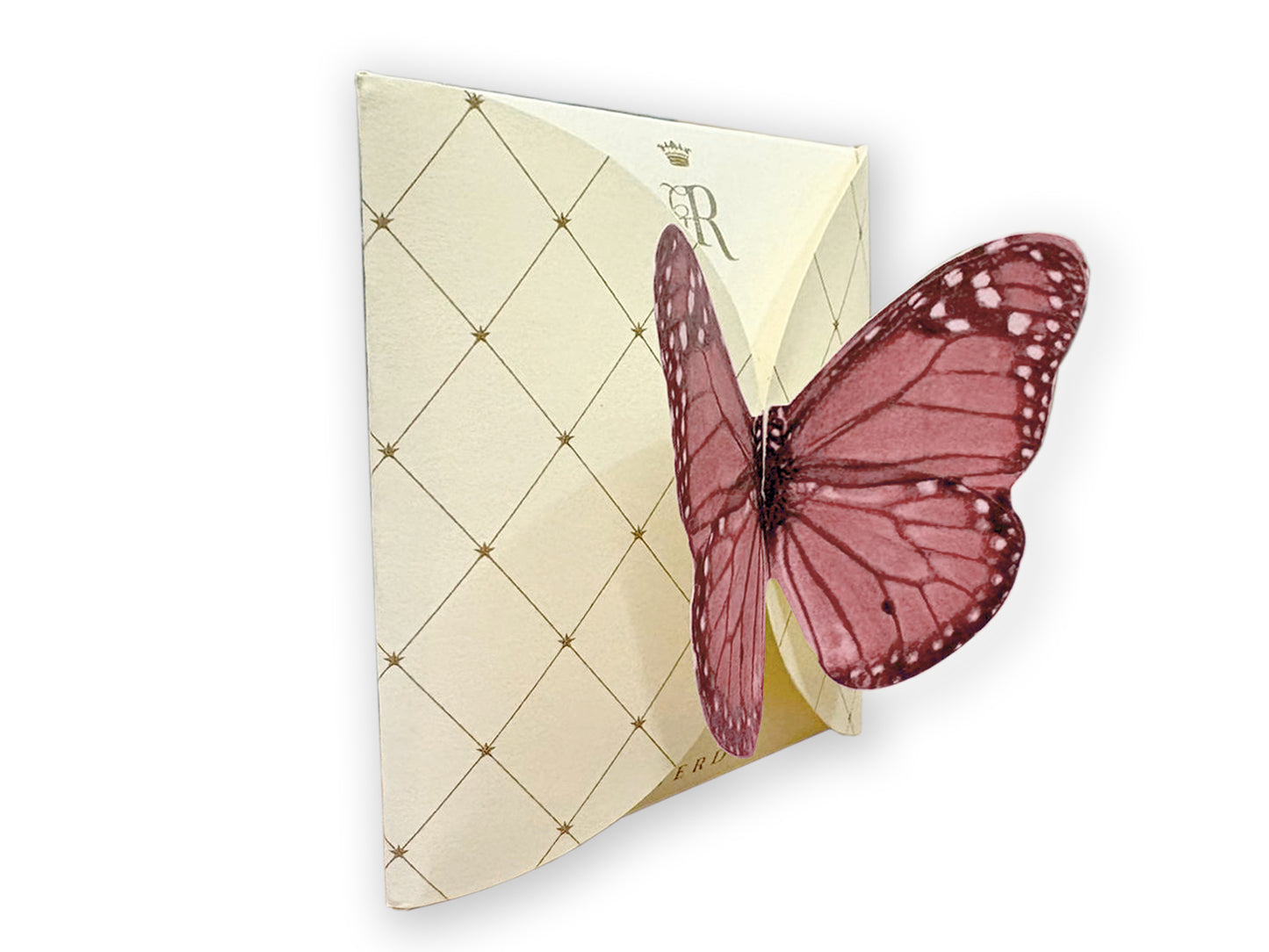 FARFALLA VIOLETTO - BUSTA 2 FILTRI - VOLO DA TÈ