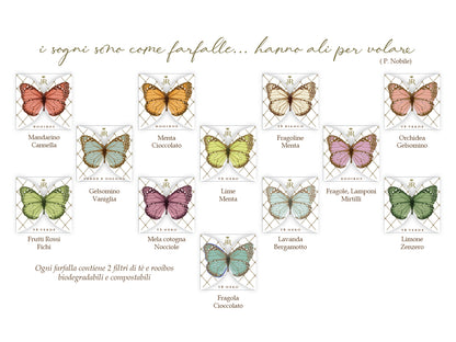 FARFALLA CLOUDY - BUSTA 2 FILTRI - VOLO DA TÈ
