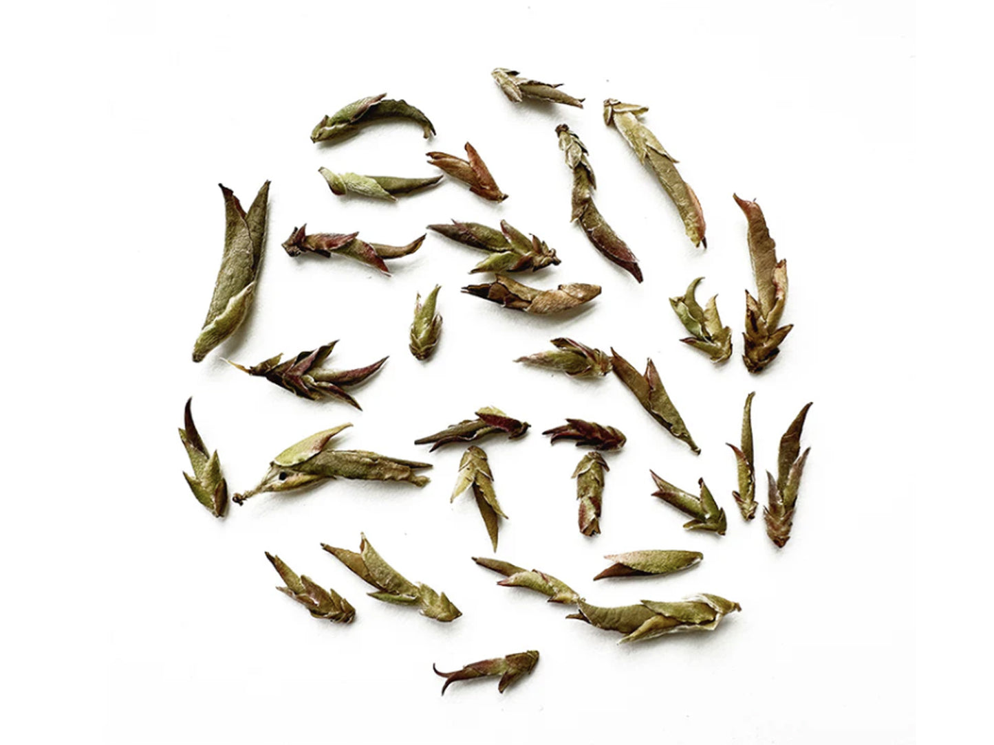 CINA - WILD YA BAO PURPLE TEA