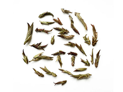 CINA - WILD YA BAO PURPLE TEA
