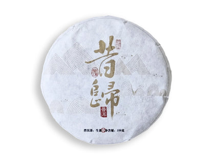 CINA - PU'ER MINI-BEENG - XI GUI (SHENG)