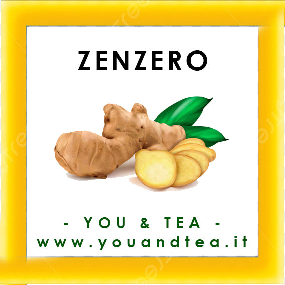 ZENZERO ESSICCATO TAGLIO TISANA